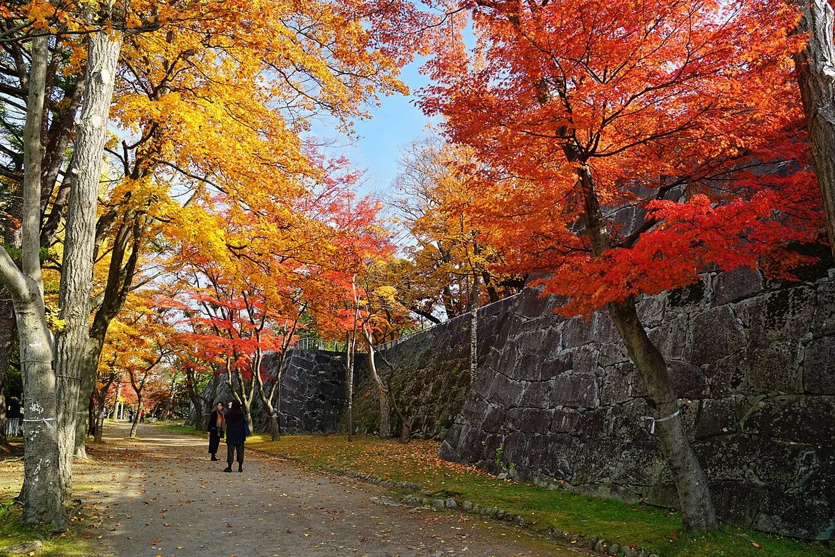 Stone walls at Morioka Castle surrounded by autumn foliage
