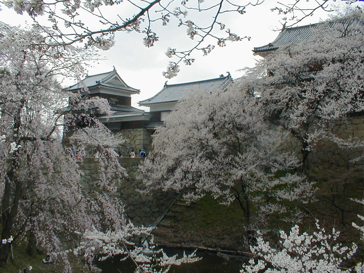 桜の間から見える上田城の櫓