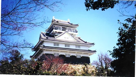 Gifu Castle keep seen through trees, before the current renovation