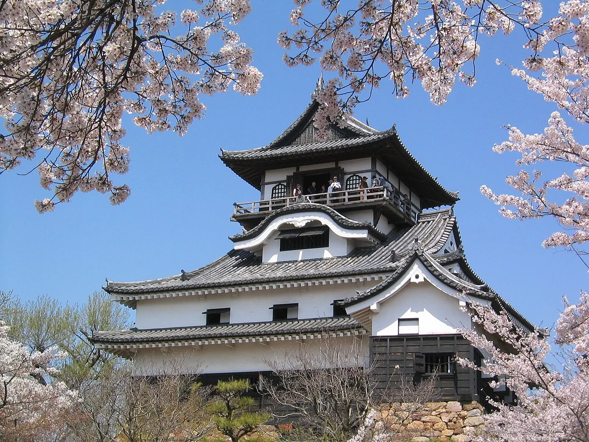 桜に縁取られた犬山城の天守
