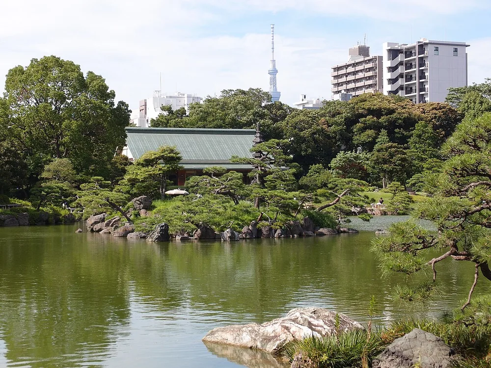 清澄庭園の池に木々の緑が映り、奥に建物とスカイツリーが見える